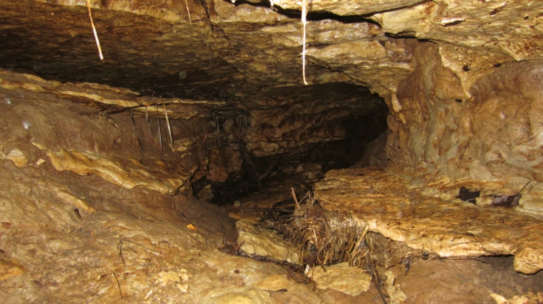 karst hydrogeology geomorphology and caves