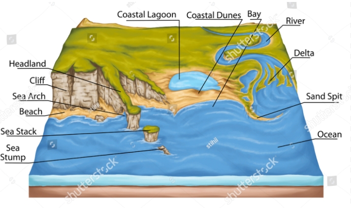 marine geomorphology