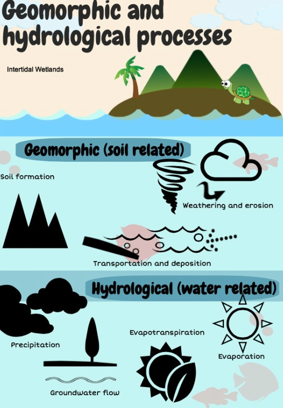 what process geomorphology