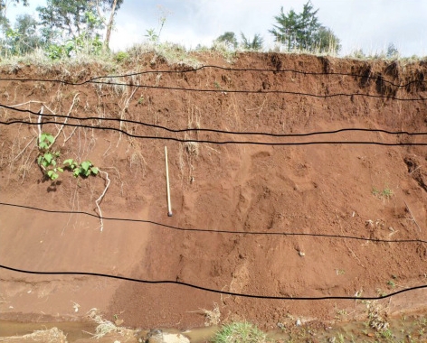 soils and geomorphology